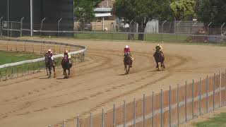 Race 1  Smiling Wide Orthodontics Open Handicap 850m [upl. by Enneyehs523]