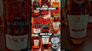 Top cognac brands of the world cognac lvmh martell courvosier camus remymartin [upl. by Lebar898]