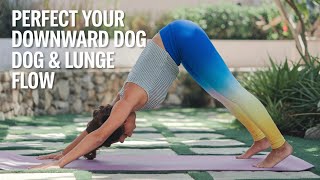 Perfect Your Downward Dog amp Low Lunge Flow 🧘‍♀️ Master Hip Alignment amp Core Engagement [upl. by Relyhcs]