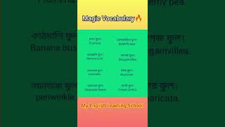 English to Bangla easy vocabulary 3 vocabulary education VocabularyChallenge vocabularywords [upl. by Alben]