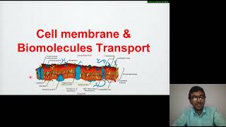 22 Cell biology  Cell membrane Structure and Function  Sandwich  Robertson’s  Fluid mosaic شرح [upl. by Primrose]