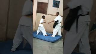 Ushiro geri kyokushinkarate kyokushin karate [upl. by Maletta]