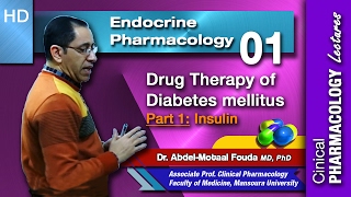 Endocrine Pharmacology Ar  01  Diabetes mellitus  Part 1 Insulin [upl. by Nellek]