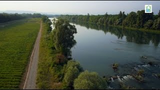 Der Hochwasserrückhalteraum WeilBreisach  Neuland für den Oberrhein [upl. by Elyak]