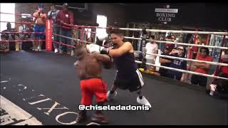 Midget vs Dwarf Boxing  Mini DaBaby Tyson vs Human Tetris Long Limb Thomas [upl. by Harrod]