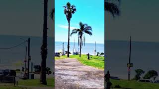 Zona Buceo montevideo turismouruguay viralvideo [upl. by Kalli403]