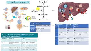 caso clínico hipercolesterolemia colesterol estatinas bioquímica [upl. by Schwarz]