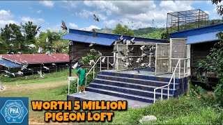 WORTH 5 MILLION PIGEON LOFT [upl. by Levon]