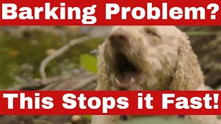 How to Stop Dogs from Barking Fast – Proven Methods [upl. by Tahp]