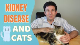 Kidney Disease and Cats  Everything you need to know [upl. by Eiliak]