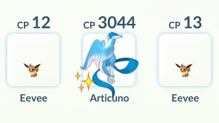 SHINY GALARIAN ARTICUNO vs Team Go Rocket 🚀 Leader SIERRA in Pokemon GO [upl. by Manheim654]