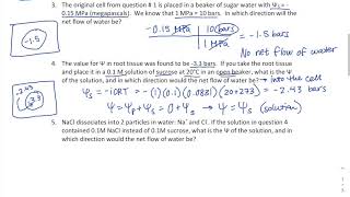 Water Potential Practice Problems Solved [upl. by Kauffmann15]