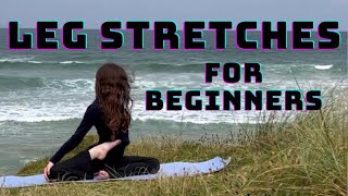 Best Leg Stretches for Beginners [upl. by Icram]