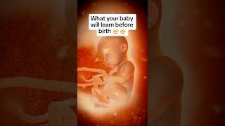 🤯🤯What Your Baby Already Knows By Birth [upl. by Nrek]