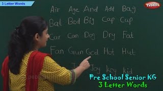 3 Letter Words  Three Letter Phonics Words  Sight Words  School Leaning [upl. by Elakram691]