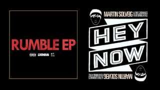 Hey Rumble Mashup  Garmiani vs Martin Solveig amp The Cataracs ft Kyle [upl. by Nylirem]