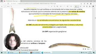 Tema 9 Filogenia del sistema nervioso UNED PSICOBIOLOGIA [upl. by Samuella]