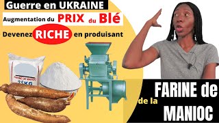 Comment devenir RICHE avec la FARINE de MANIOC [upl. by Nnairac]