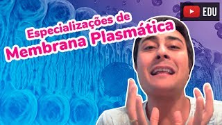 Especializações de Membrana Plasmática  Prof Paulo Jubilut [upl. by Teri]