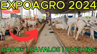 ExpoAgro Maceió 2024  Evento COMPLETO  4K UHD [upl. by Nylasoj68]