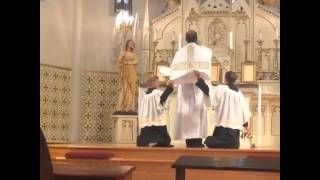 Latin mass In the immaculate conception cathedral in Brownsville TX [upl. by Elttil]