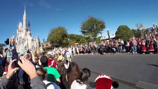 Horse getting tangled during parade filming at the Magic Kingdom 2014 [upl. by Yatnuahs901]