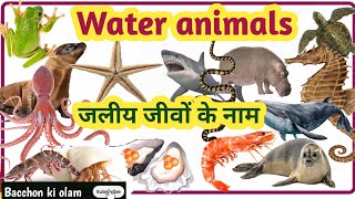 reptiles reptiles name for kids Bacchon ki olam water animals name [upl. by Hannahsohs]