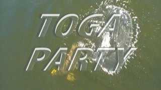 Toga Party  Goose Creek Melville Island [upl. by Nudnarb]