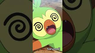 Facts about Grookey you might not know  Pokemon Facts PokeFacts [upl. by Hodgkinson311]