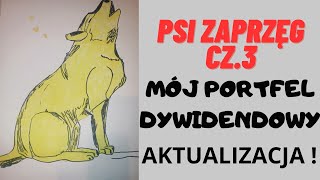 Mój portfel dywidendowy PSI ZAPRZĘG CZ3 DIVIDEND INVESTING [upl. by Nedah]