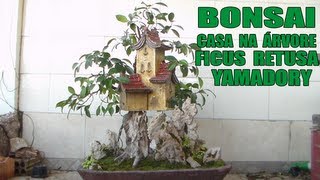 Bonsai  Casa na Árvore  Ficus Retusa Yamadory Parte 2 [upl. by Frayne]