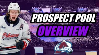 Prospect Pool Overview Colorado Avalanche [upl. by Rednasyl]