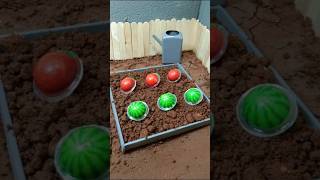 Mini farm diorama  grow tomtoes 🍅and watermelons🍉 [upl. by Brigit]