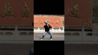 kungfu taichiclass taichi What is the essence of Tai Chi [upl. by Eeruhs976]