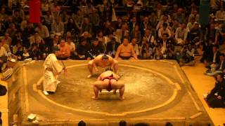 Sumo Wrestling 2014 05 21 Tokyo Japan [upl. by Yvi]