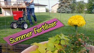 Fertilizer for Grass in Summer [upl. by Jewelle]