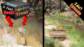 Catching TROUT in 2 FEET OF WATER Trout Fishing in STUNNING Twain Harte amp Lyons Dam [upl. by Stannfield]