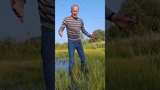 Low Swamp Water permaculture ponds swampland nature adventure explore motivation [upl. by Nilreb]