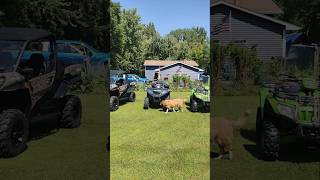 Mine amp my parents fleet canam arcticcat atv utv atvutv offroad utvlife [upl. by Elbertine]