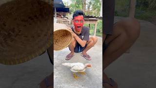 SULAP AYAM HITAM PUTIH AJAIB 🐦‍⬛🐔 shorts magic sulap ayam [upl. by Benji607]