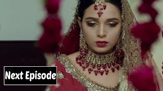 Tark E Wafa Episode 46 Promo l Drama Tark E Wafa Episode 46 l Tark E Wafa Epi 46 l Drama Update [upl. by Atinnek]