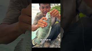 ফাঁদ বসিয়ে সমুদ্র থেকে মাছ ধরে খায় Fishes are caught from sea and eat shorts ytshorts [upl. by Burk]