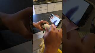 Grandson eatting banana deeping to milo 191124 trendingshort newzealan viralvideo shortvideo [upl. by Idnat]