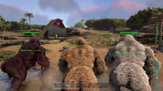 CÓMO SPAWNEAR A EL quotMEGAPITHECUSquot  ARKSurvival Evolved The Island  RaulGamerxHD [upl. by Notniuqal]