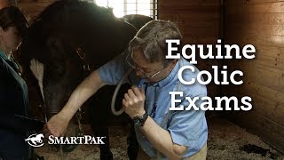 Equine Colic Exams [upl. by Yrelle]