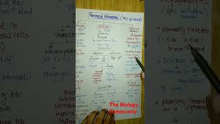 Formed Elements Body Fluids amp Circulation Part3class11biologyneetbiologyshortsytshortsneetug [upl. by Jesselyn]