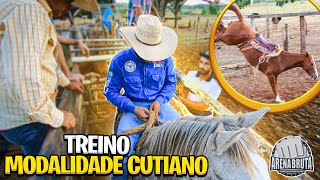 TREINO NA MODALIDADE CUTIANO  MONTANDO EM CAVALOS 🐴 [upl. by Idelle]