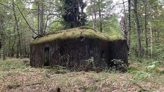 Abandoned Bunkers in the Forest  Inside I Found Butterflies Sleeping  Part 2 [upl. by Eidoj]