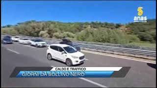 ✅ CALDO E TRAFFICO GIORNI DA BOLLINO NERO SUD TV 114 [upl. by Euqinmod891]