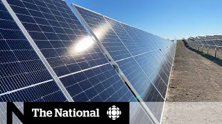 First look at Canada’s largest solar farm [upl. by Ydnir]